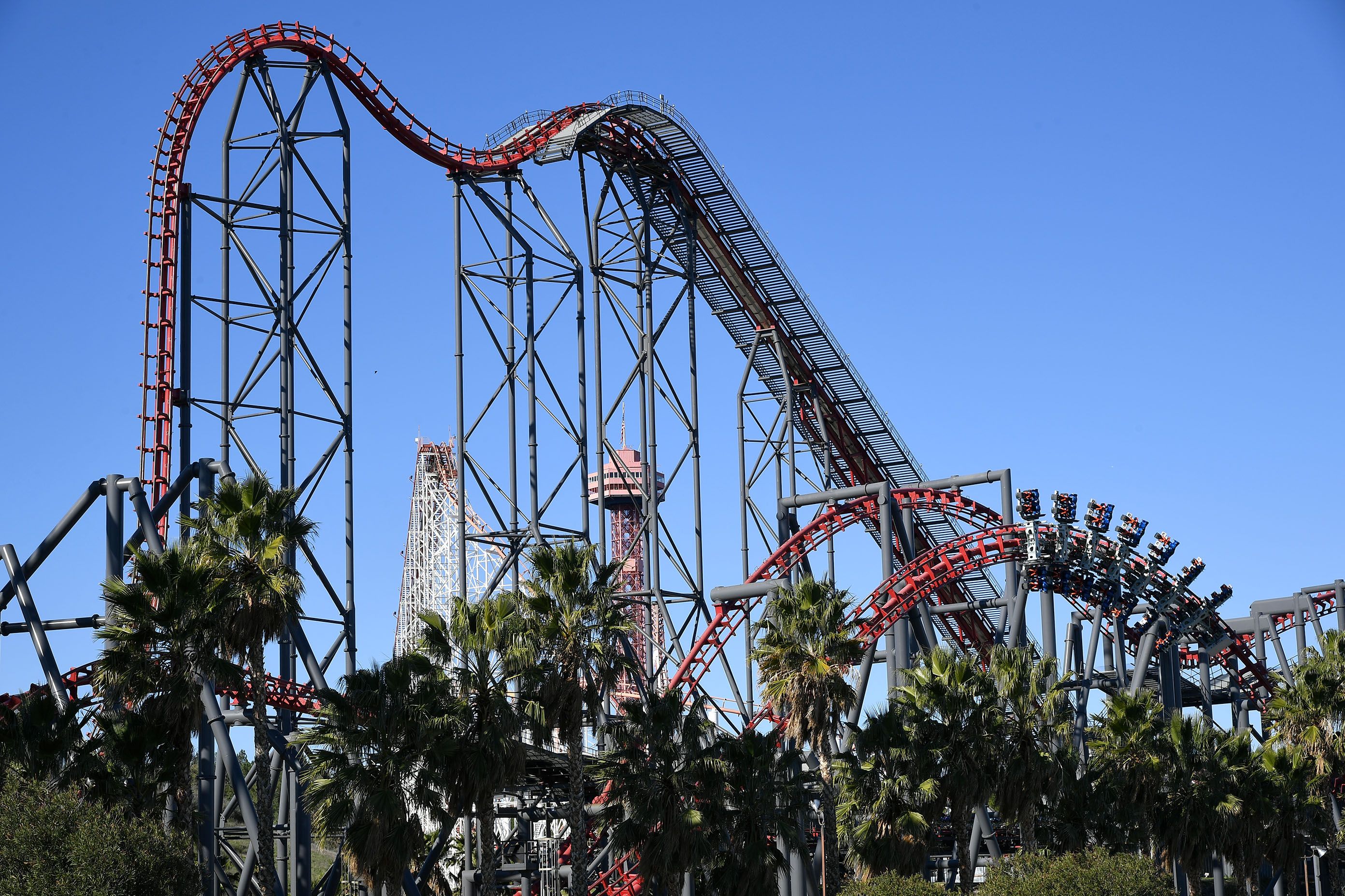 Roller Coaster to Brain Surgery: Subdural Hematomas and the Six Flags Reports